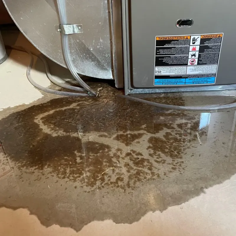 Pipe Burst and Leak Restoration in Moapa Town, NV