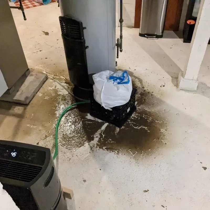 Sewage Backup Cleanup Service in Moapa Town, NV